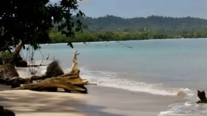 Famous Black Sand Beaches