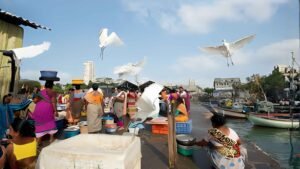 crane stealing fish Mumbai