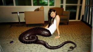 Greek mythological creatures