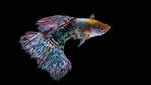 Best Pets for Kids and Families