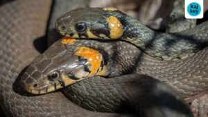 Best Places to Visit in the World 2025