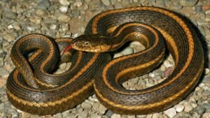 Best Places to Visit in the World 2025