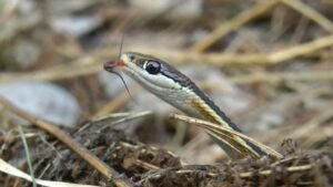 Best Places to Visit in the World 2025